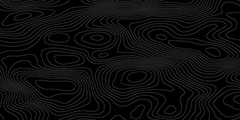 Topographic background and texture, monochrome. Black and white abstract Seamless Pattern with Contour Lines map.