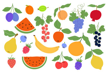 Set of fruits: plum, apricot, gooseberry, peach, grape, pomegranate, watermelon, red, black currant, apple, pear, blueberry, raspberry, banana, orange, strawberry, cherry, blackberry, lemon. Vector.