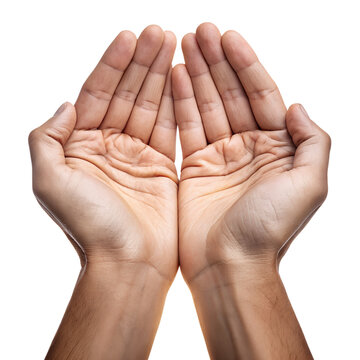 Two human hands held palms up, side-by-side, as if cupping or holding something. The hands appear to belong to an adult, and the skin tone is light to medium.
