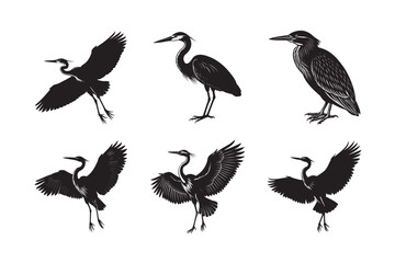 silhouette abstract bird and bird wing shape design set bundle on the white background