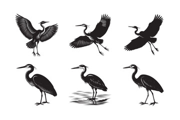 silhouette abstract bird and bird wing shape design set bundle on the white background