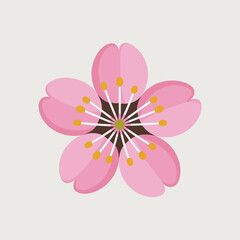 Fototapeta premium Flat Vector Cherry Blossom Illustration in Pink Shades Beautiful Sakura Flower Design Perfect for Spring, Nature, Greeting Cards, Decoration, or Japanese Themes.
