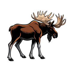 Moose Vector Illustration – Majestic Bull Moose with Large Antlers in Wildlife Art Style, Perfect for Logos, Outdoors Decor, Nature Prints, and Forest Themes

