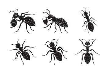 silhouette ant carrying food crumb bundle on the white 
 background