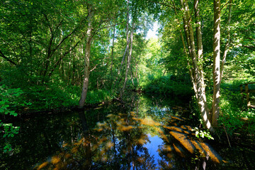 The marshes of the lower valleys of the Juine and the Essonne river. Fontenay-le-Vicomte village