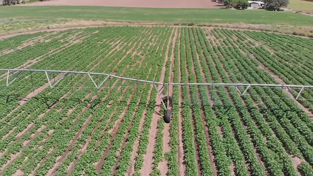 Aerial view of a circular crop field being irrigated by center pivot irrigation system