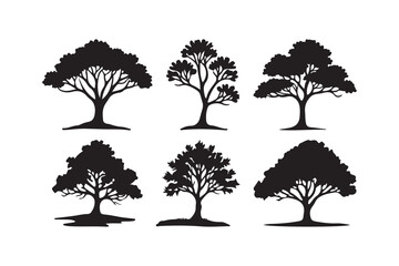 Collection of six diverse black tree silhouettes on a white background