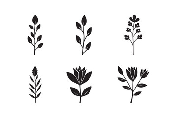 Collection of six minimalist black botanical illustrations on a white background