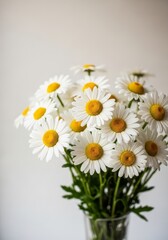 Fototapeta premium Delicate Daisies in Vase - A bouquet of fresh white daisies with yellow centers arranged in a clear glass vase against a light gray background
