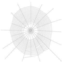 Obraz premium spider web transparent background png