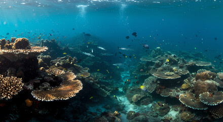 Naklejka premium Coral reef ecosystem with colorful fish and marine life underwater, perfect for ocean conservation visuals, travel content, or nature education materials