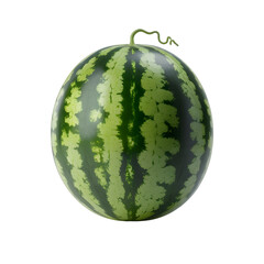 watermelon transparent background png