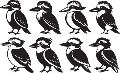 set of kookaburra bird silhouette, black and white silhouette, vector and illustration