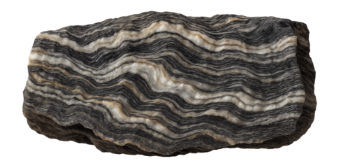 Migmatite piece with mixed banding of light and dark minerals