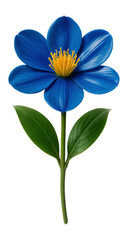 Naklejka premium Blue ginger flower with vivid blue petals and a cluster of yellow stamens