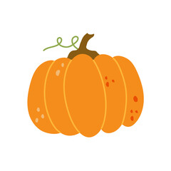 Pumpkin isolated .Autumn vegetable for Halloween Thanksgiving Harves festival. Simple modern doodle icon. Cooking organic healthy ingredient. Vegetarian food. Design element