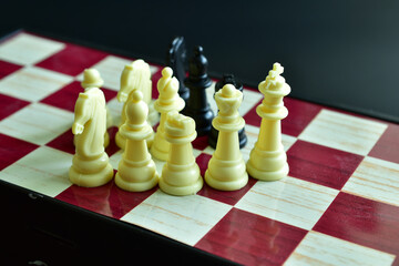 Chess pieces, white and black, stand on a chessboard.