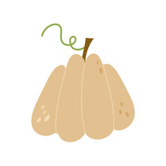 Pumpkin isolated .Autumn vegetable for Halloween Thanksgiving Harves festival. Simple modern doodle icon. Cooking organic healthy ingredient. Vegetarian food. Design element