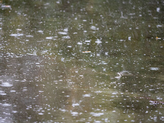 Raindrops splash on the sidewalk during a summer downpour