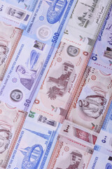 UAE money, dirham, paper banknotes, cash. Emirates money
