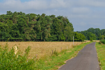 Sommer im westlichen Münsterland