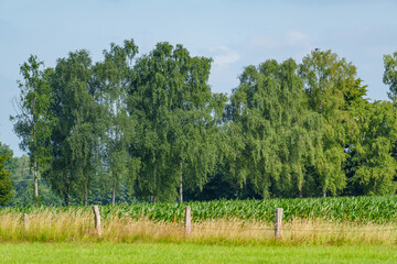 Sommer im westlichen M&uuml;nsterland