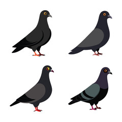 Vector art illustration of a set of pigeon birds