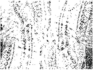 Fototapeta premium Abstract Ink Splatter Texture