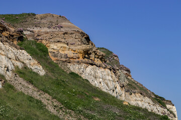 Layered sandstone and chalk cliff formation with wild vegetation and purple flowers under a clear blue sky. Natural geological strata exposed in coastal landscape.