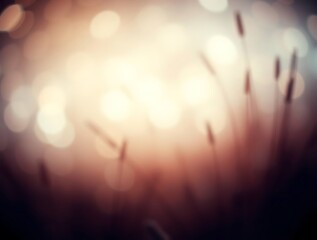 Abstract Autumnal Reed Grass Against a Blurred Dreamy Bokeh Background