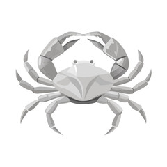 Geometric gray crab with raised claws crustacean marine life