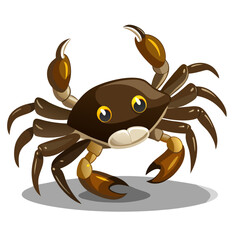 Brown cartoon crab with yellow eyes and claws raised illustration animal