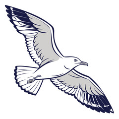 Majestic seagull in flight with detailed wings bird flying