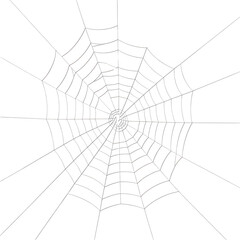 Obraz premium spider web transparent background png