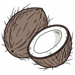 Whole and halved brown coconuts with white flesh tropical fruit whole coconut
