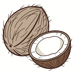 Whole and halved brown coconuts with white flesh whole coconut halved coconut