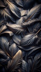 Fototapeta premium black feathers background