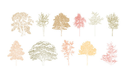 Architectural Drawings, Minimal style cad tree autumn line drawing, Side view, set of section wetland forest outline for landscape design drawing. Vector illustration in separate element © feipco