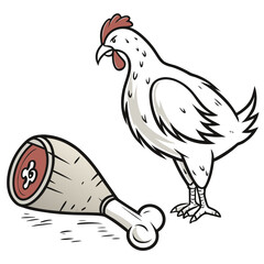 White chicken and meat bone poultry food