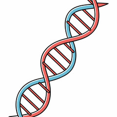 Red and blue dna helix structure science biology