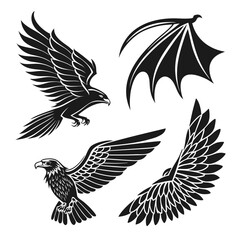 set of birds