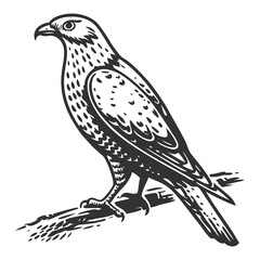Majestic raptor perched on branch falcon bird