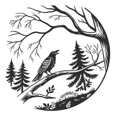 Raven perched on a tree branch in a forest bird