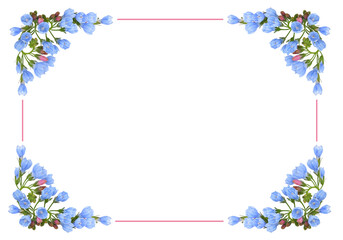 Bundle of blue symphytum flowers and buds in a corner arrangements with pink frame isolated on white or transparent background