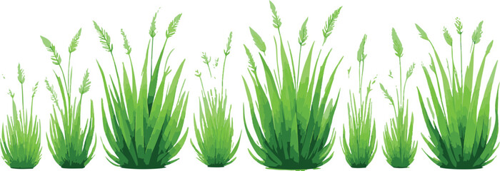 Abstract watercolor green grass border with seed heads on white background
