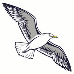 White seagull with grey wings flying bird