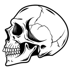 Cracked human skull profile illustration head bone
