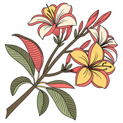 Yellow and pink flowers with green leaves floral botanical