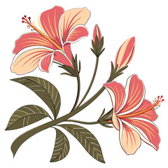 Coral and peach hibiscus flowers with green leaves