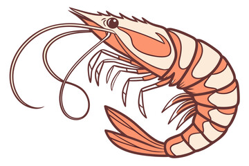 Fototapeta premium vector illustration of shrimp